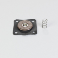 Набор для ремонта FOR 25 MM (1") диафрагма клапан CONTAINS VITON WITH 4 HOLES и SPRING