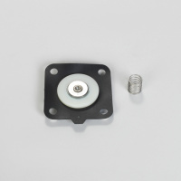 Набор для ремонта FOR 25 MM (1") диафрагма клапан CONTAINS MEMBRANE WITH 4 HOLES и SPRING