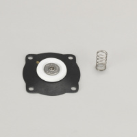 Набор для ремонта FOR 25 MM (1") диафрагма клапан CONTAINS VITON WITH 4 HOLES и SPRING