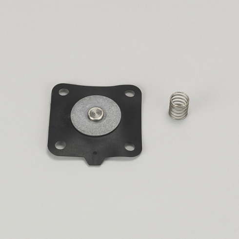 Набор для ремонта FOR 25 MM (1") диафрагма клапан CONTAINS MEMBRANE WITH 4 HOLES и SPRING