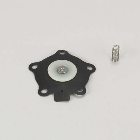 Набор для ремонта FOR 19 MM (3/4") диафрагма клапан CONTAINS MEMBRANE WITH 5 HOLES и SPRING