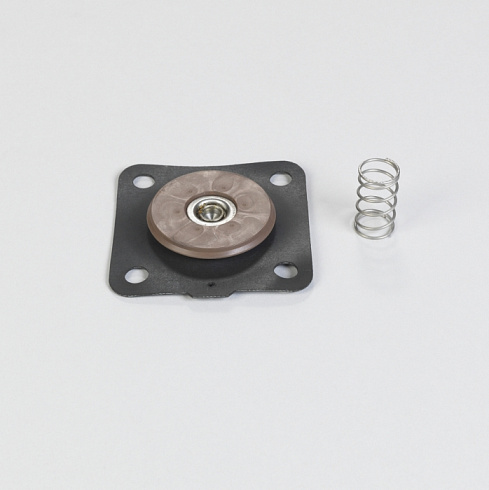 Набор для ремонта FOR 25 MM (1") диафрагма клапан CONTAINS VITON WITH 4 HOLES и SPRING