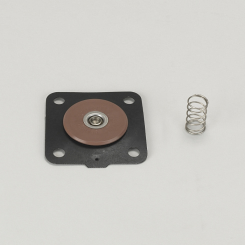 Набор для ремонта FOR 25 MM (1") диафрагма клапан CONTAINS VITON WITH 4 HOLES и SPRING