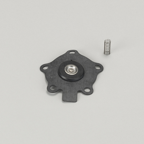 Набор для ремонта FOR диафрагма клапан 25 MM (1") CONTAINS MEMBRANE WITH 5 HOLES и SPRING